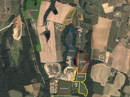 Azienda Agricola La Tosa Cellar